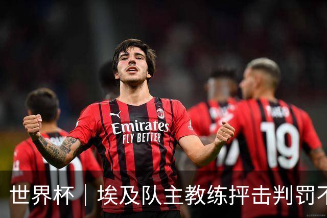 世界杯｜埃及队主教练抨击判罚不公