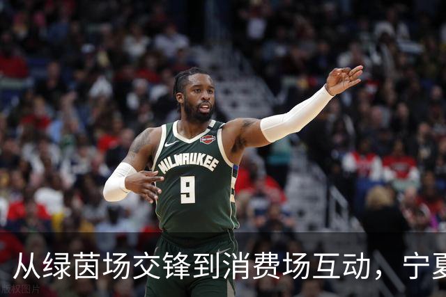 从绿茵场交锋到消费场互动，宁夏红借力足球营销撬动终端新增长