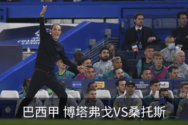 巴西甲 博塔弗戈VS桑托斯