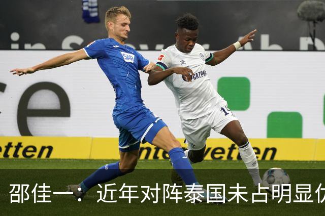 邵佳一：近年对阵泰国未占明显优势 国家队无友谊赛