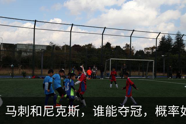 马刺和尼克斯，谁能夺冠，概率如下！